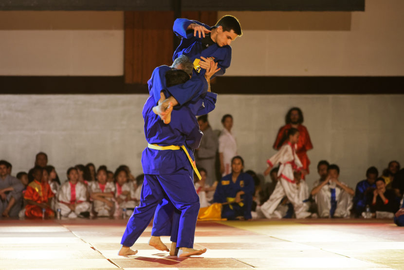 Photos Vid Os Tamvodao Net Vovinam Vi T Vo Dao Paris